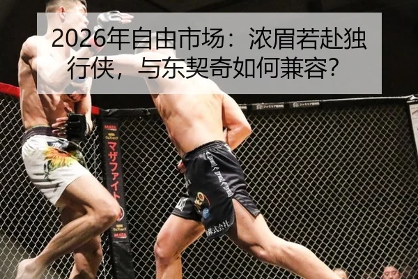 2026年自由市场：浓眉若赴独行侠，与东契奇如何兼容？