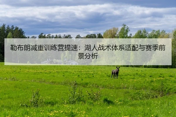 lei-bu-lang-jian-zhong-xun-lian-ying-ti-su-hu-ren-zhan-shu-ti-xi-shi-pei-yu-sai-ji-qian-jing-fen-xi-3-642.jpg